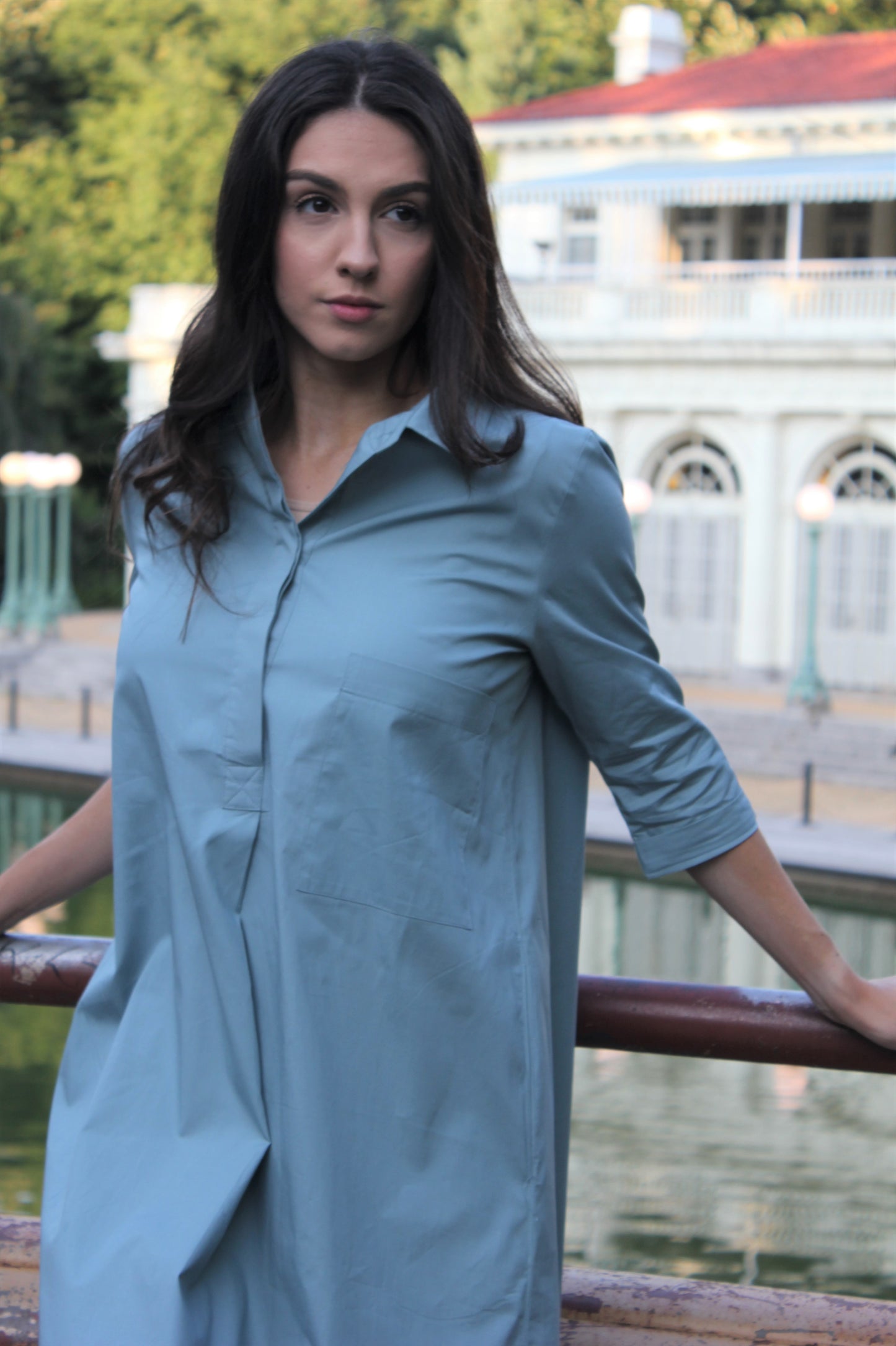 Swing Shirt Dress II